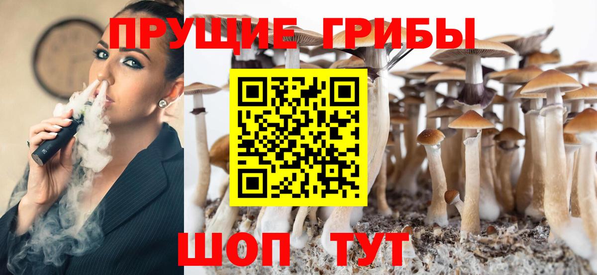 Псилоцибиновые грибы MAGIC MUSHROOMS Каменск-Шахтинский