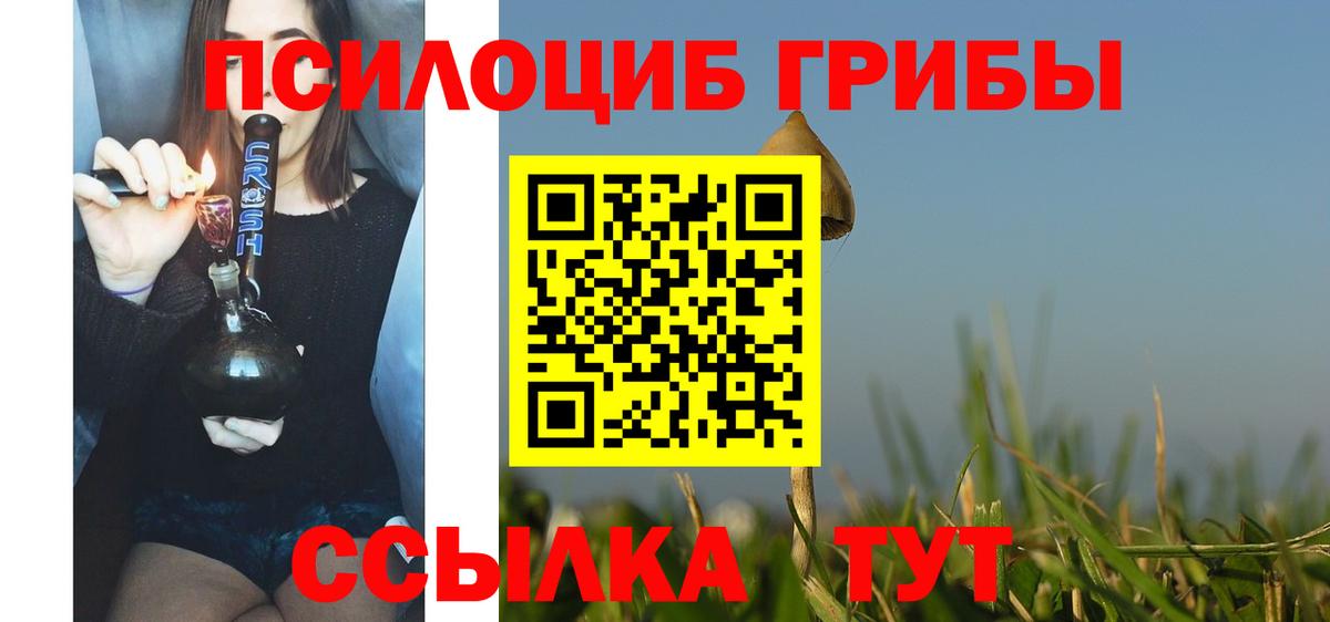 Галлюциногенные грибы мицелий  Вход с VPN  как найти   Каменск-Шахтинский 